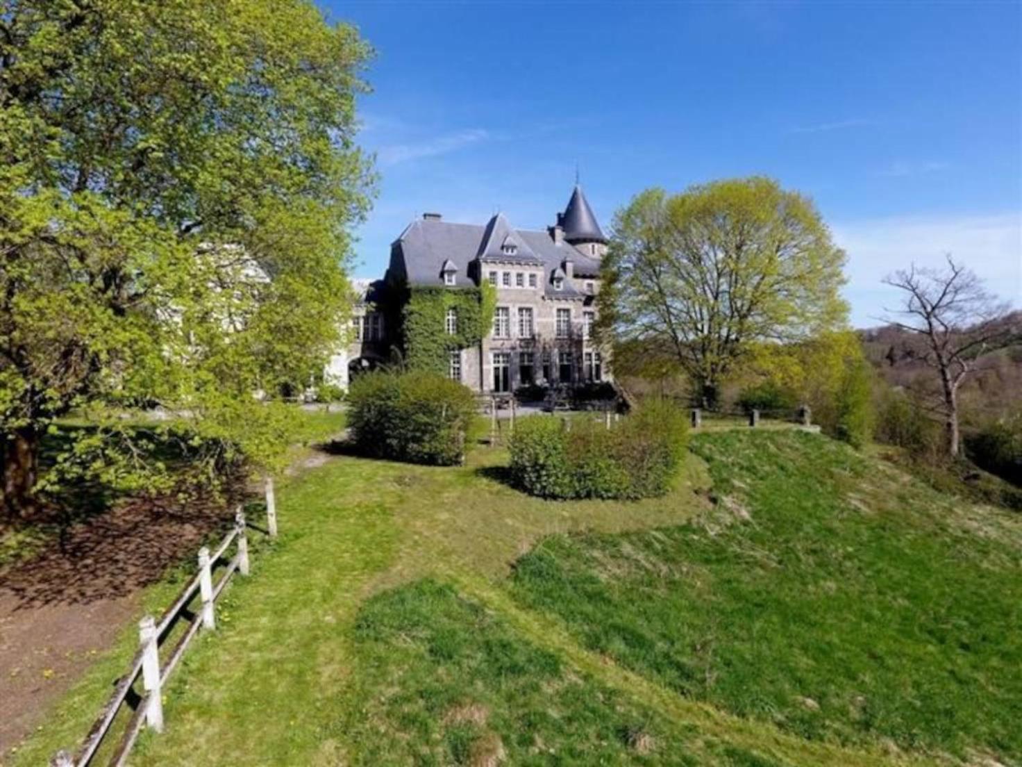 Le Petit Chateau De Blier Villa Erezee Bagian luar foto